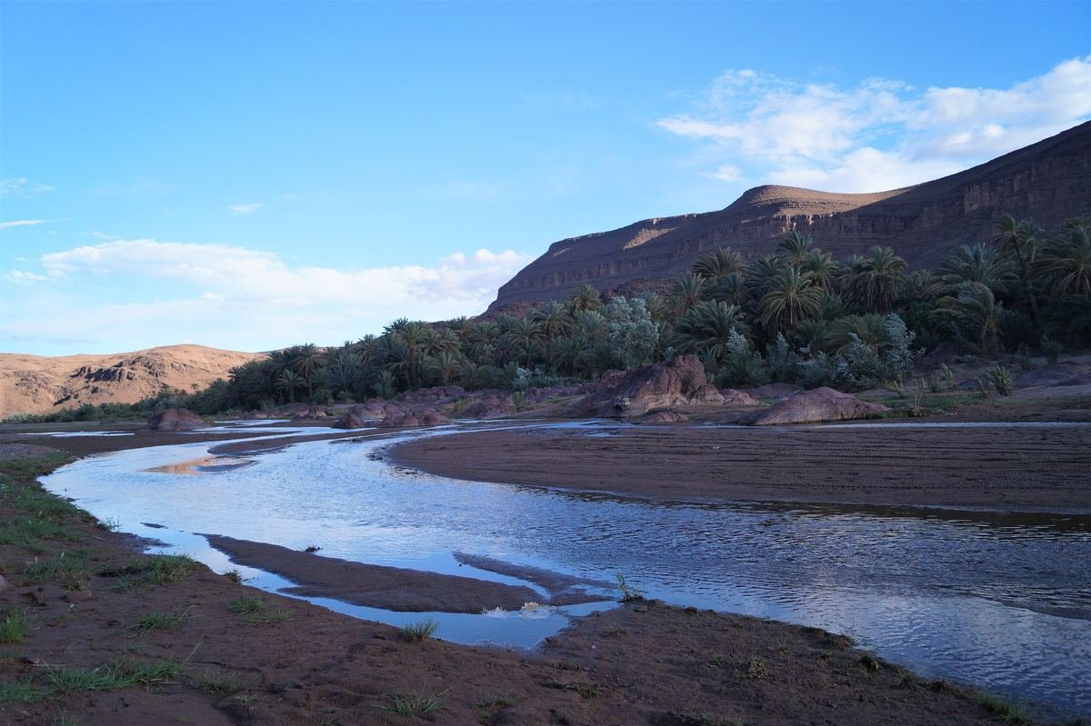 The Fint river winding past a band of palm trees below a dark rocky ridge near Ouarzazate