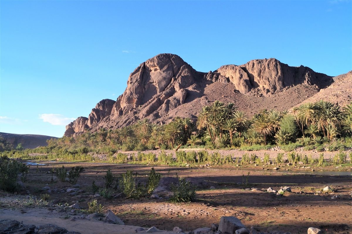 Palm trees of the Fint oasis below rocky desert peaks near Ouarzazate