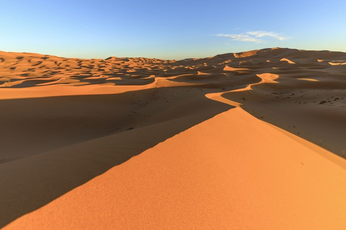 A sharp sand-dune ridge in the Erg Chebbi dunes near Merzouga in evening light