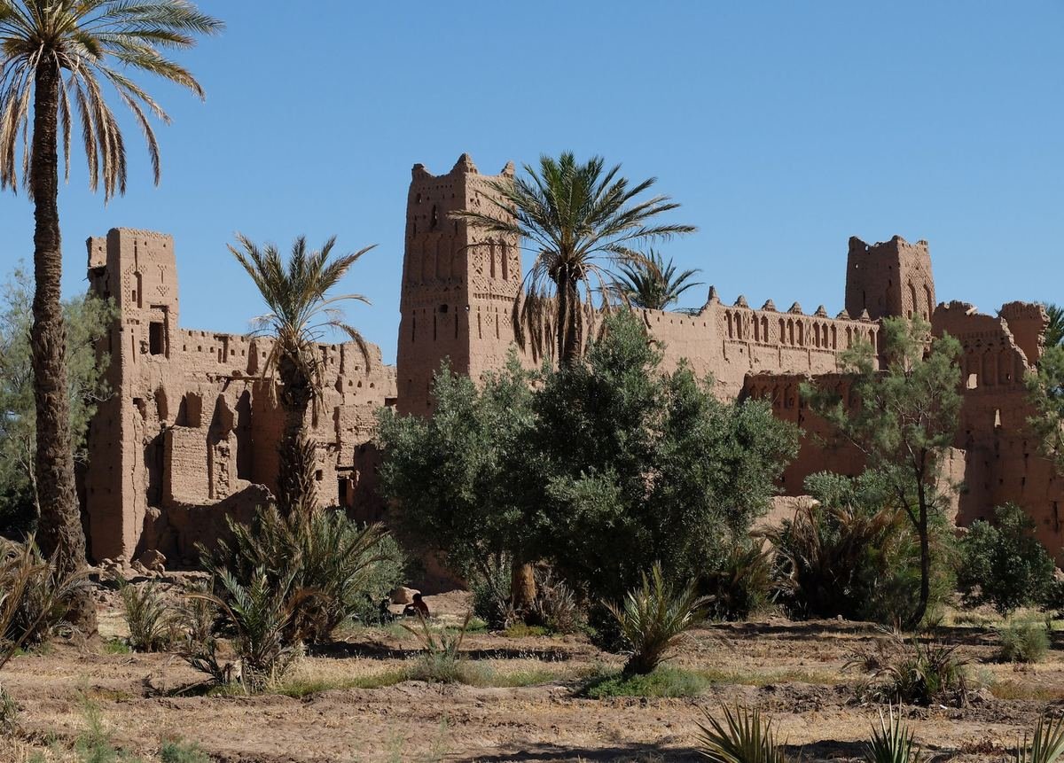 Tours de kasbahs en terre en ruine entre palmiers et oliviers dans l'oasis de Skoura